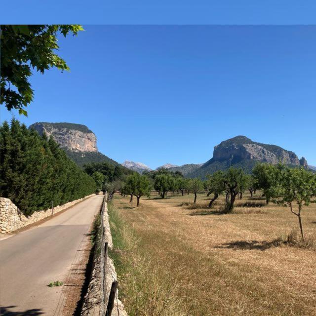 Sa Sort De Can Moix Alaró Dış mekan fotoğraf